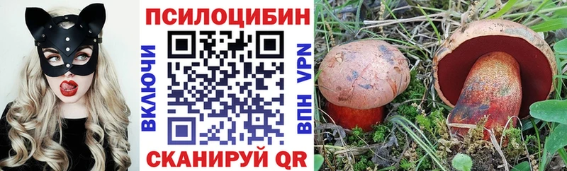 Псилоцибиновые грибы Cubensis  Чулым 